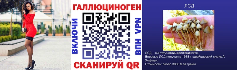 Псилоцибиновые грибы мухоморы  mega tor  Карачаевск 